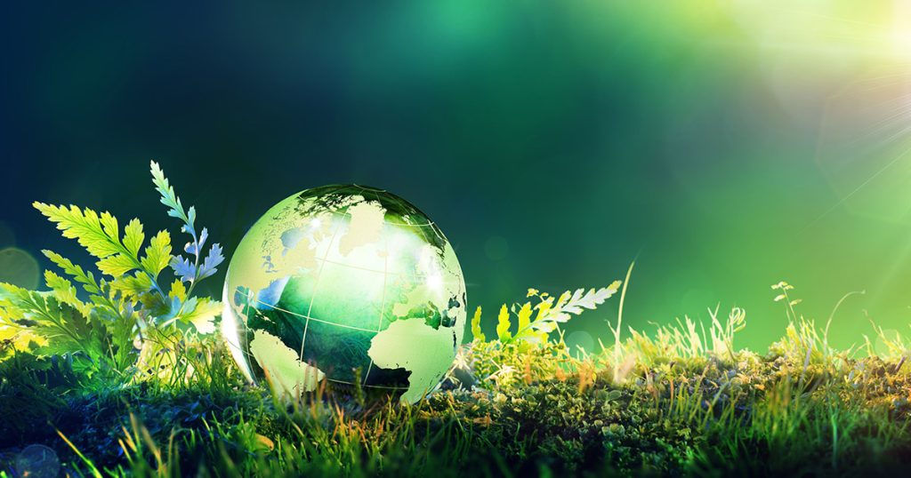 Glass globe of Earth nestled on fern and plant bed