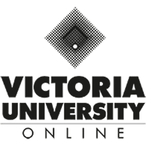 VU Online MBA in Finance