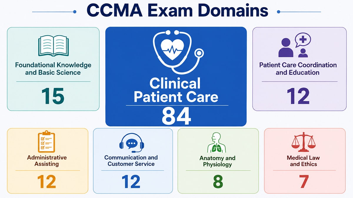 Seven CCMA exam domains with scored question counts, led by Clinical Patient Care with 84 questions.
