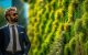 Businessman in sunglasses looking at plant wall